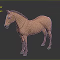Detailed Low Poly Brown Horse 3D Model Standing on Gray Background