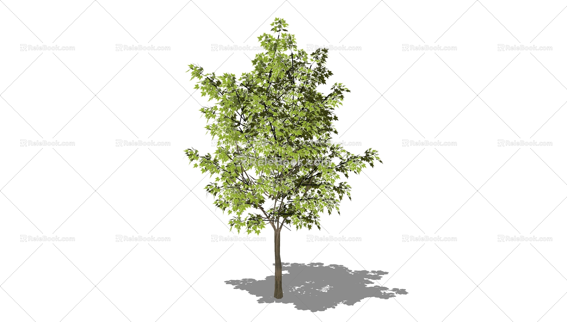 Tree 3d model