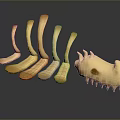 Anatomical Organ and Hair Sample Model in Light Yellow Tone with Dark Reflective Background