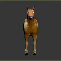Brown And White Standing Horse Model With Shiny Black Background Reflection 3d model