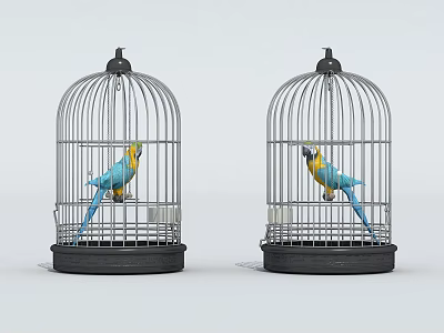 Two blue and yellow parrots perched inside metal bird cages with black base 3d model