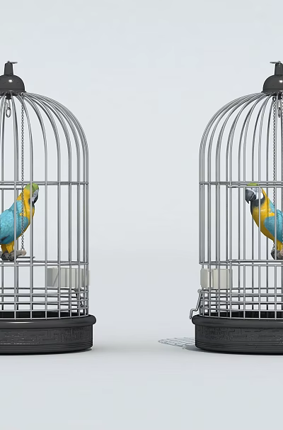 Two blue and yellow parrots perched inside metal bird cages with black base 3d model Two blue and yellow parrots perched inside metal bird cages with black base 3d model