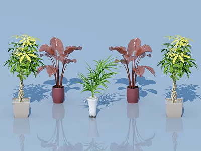 Bonsai Potted Plants With Various Leaf Colors And Different Flower Pots For Home Decor 3d model