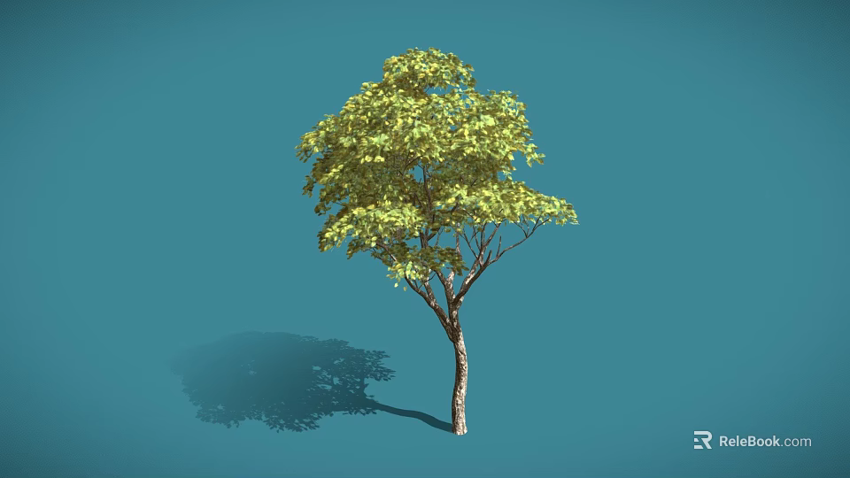 A Green Tree with Lush Leaves and Brown Trunk Against Blue Background Showing Shadow 3d model 