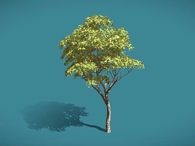A Green Tree with Lush Leaves and Brown Trunk Against Blue Background Showing Shadow 3d model