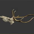 Detailed Deer Skull with Golden Antlers on Dark Background Decorative Art