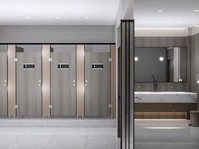 Public Restroom Modern Interior Design With Clean Stalls Washbasins And Mirrors 3d model
