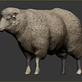 Light Brown Fluffy Sheep With Thick Wool Standing On Dark Isolated Background 3d model