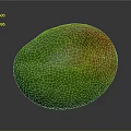 Fresh Ripe Mango With Green Yellow And Red Skin Looking Juicy And Delicious
