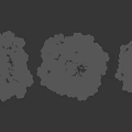 Three Different Shaped Trees With Lush Green Foliage Against Black Background