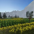 Sturdy Swing Door For Country House In Yellow Flower Field With Mountain Background