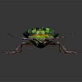 Colorful Iridescent Beetle With Shiny Green Blue Shell And Prominent Mandibles On Black Background