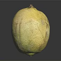 Single Fresh Ripe Cantaloupe Fruit With Yellow Textured Surface And Brown Spots On Black Background