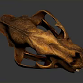 Large Feline Animal Skull With Sharp Teeth And Brown Bone Structure