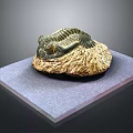 Ancient Fossil Specimen With Detailed Texture On Purple Display Platform 3d model