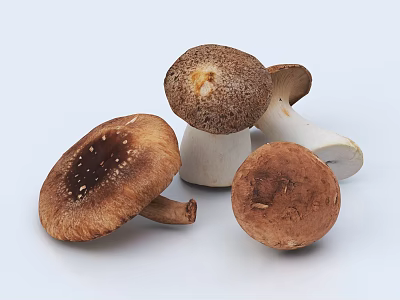 Fresh Various Mushroom Vegetables On White Background For Healthy Eating Options 3d model