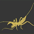 Dark Colored Scorpion With Long Tail Pincers And Legs On Black Background
