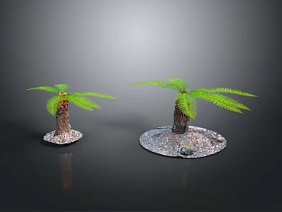 Two Palm Trees With Brown Trunks And Feathery Green Fronds On Stone Bases 3d model