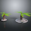 Two Palm Trees With Brown Trunks And Feathery Green Fronds On Stone Bases