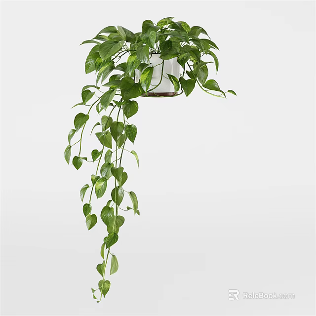 Lush Green Hanging Potted Plant With Trailing Vines And White Ceramic Pot 3d model 