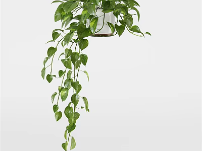 Lush Green Hanging Potted Plant With Trailing Vines And White Ceramic Pot 3d model