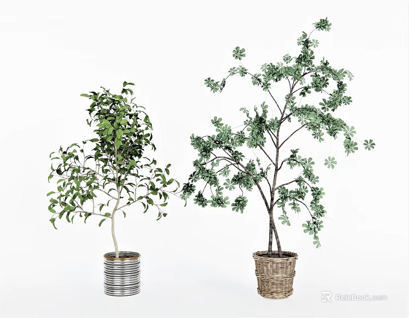 Two Decorative Bonsai Potted Plants with Green Foliage in Metal and Woven Baskets 3d model 