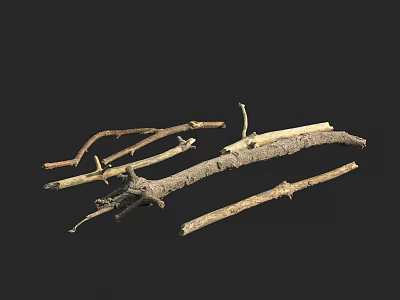 Natural Stone and Wood Decorative Pieces with Rustic Branches and Logs 3d model
