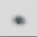 Blue Fluffy Grass on Black Background with Scale Ruler on Right 3d model