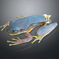 Blue Frog With Transparent Limbs On Black Background Showing Reflection 3d model