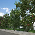 Garden Landscape With Varied Trees Red Fruits Purple Flowers Roadside Water Area And Blue Sky