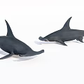 Realistic Hammerhead Shark Models With Unique Head Shape And Lifelike Features 3d model