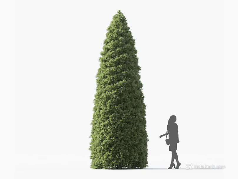 Tall Conical Green Shrub Being Pruned By Gardener With Shears Outdoors 3d model 