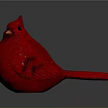 Red Cardinal Bird With Red Feathers Yellow Beak And Dark Background Side View