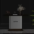 Stylish Console Table With White Vertical Striped Design Golden Trim Decorative Items And Green Plant