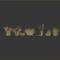 Golden Grass Plants with Various Shapes and Heights on Dark Background with Ground Reflection