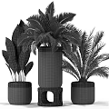 Various Green Leafy Potted Plants In Black Ceramic Pots For Indoor Decoration