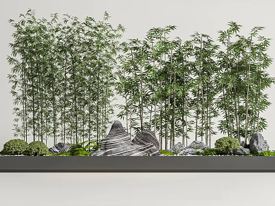 Tall Bamboo Plants In Natural Garden With Decorative Rocks And Green Foliage 3d model