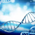 Medical Devices Integrated with DNA Helix Structure for Genetic Research Applications