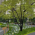 Tranquil Residential Landscape with Lush Trees Stone Pathway Green Lawn and Colorful Flowers