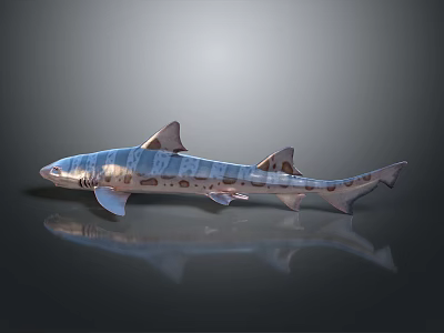 Detailed Silver Shark Model With Spots On Dark Background Showing Reflection 3d model