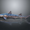 Detailed Silver Shark Model With Spots On Dark Background Showing Reflection