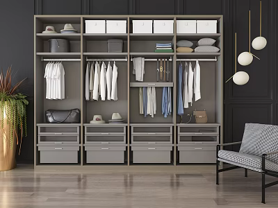 Modern Contemporary Wardrobe Closet System With Hanging Rods Drawers Shelves And Storage Solutions 3d model