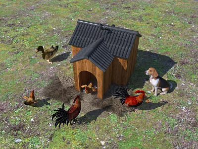Reptile Living Near Wooden Chicken Coop With Chickens And Dog 3d model