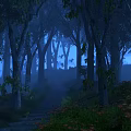 Enchanting Misty Forest Landscape With Tall Trees Winding Path And Wildflowers In Blue Mist