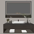 Modern Minimalist Bathroom Vanity Cabinet With Mirror Sink Basin Towels And Decorative Plants