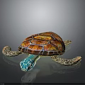 Vibrant Sea Turtle With Colorful Red Orange Shell Blue Head And Patterned Flippers 3d model
