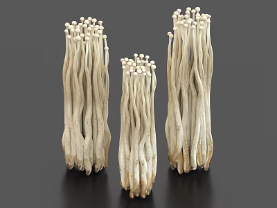 Fresh Enoki Mushrooms with Long White Stems and Small Brown Caps on Black Surface 3d model
