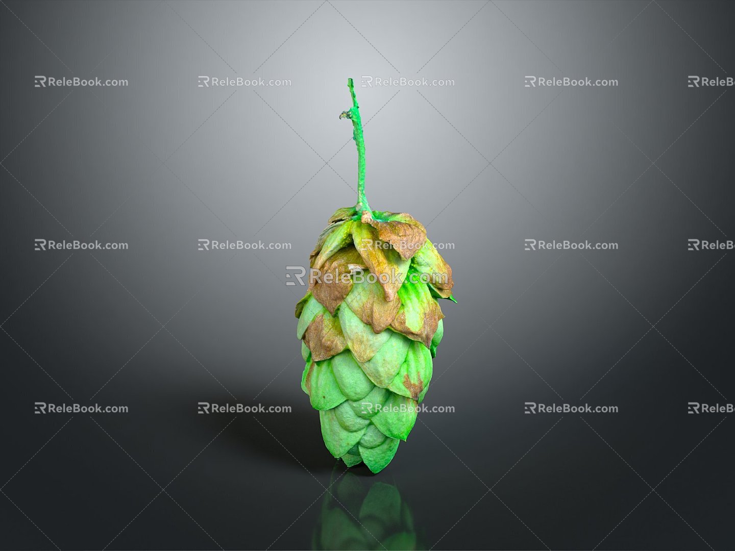 pine cone plant 3d model