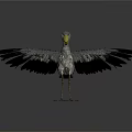 Modern Whalehead Stork Bootbeak Stork Whalehead Crane 3d model