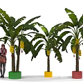 Banana Trees In Colorful Pots With Woman Carrying Brown Bag On White Floor Gray Background